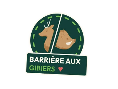 Cheveux associés à de la laine de mouton