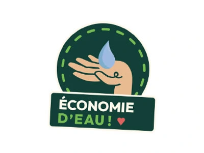 Cheveux associés à de la laine de mouton