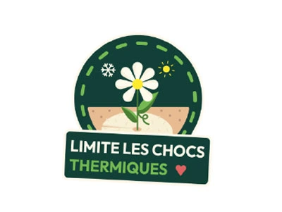 Cheveux associés à de la laine de mouton