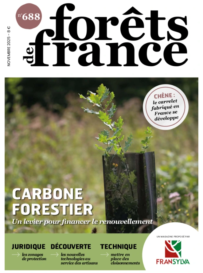 Dossier numéro 688 Forêts De France